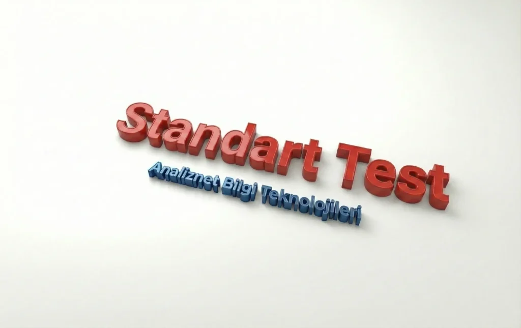 standart sızma testi